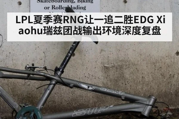 LPL夏季赛RNG让一追二胜EDG Xiaohu瑞兹团战输出环境深度复盘