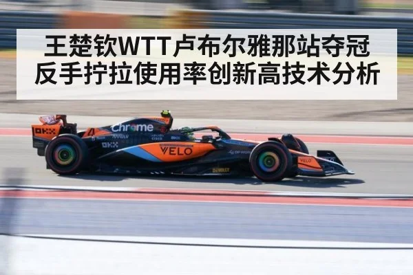 王楚钦WTT卢布尔雅那站夺冠 反手拧拉使用率创新高技术分析
